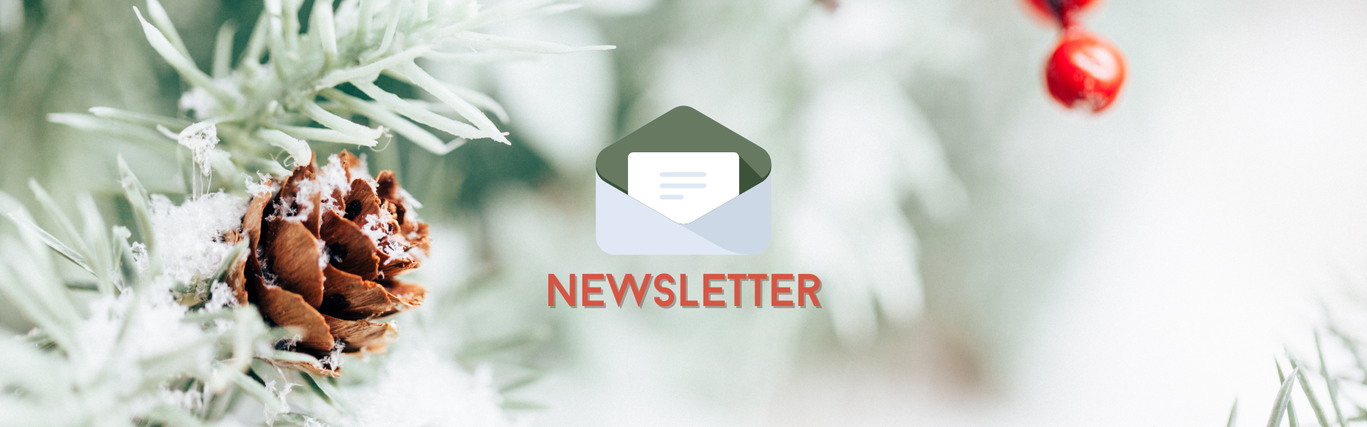 Newsletter