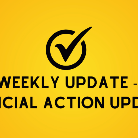 Weekly Update -  Political Action Update